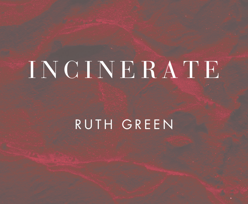INCINERATE